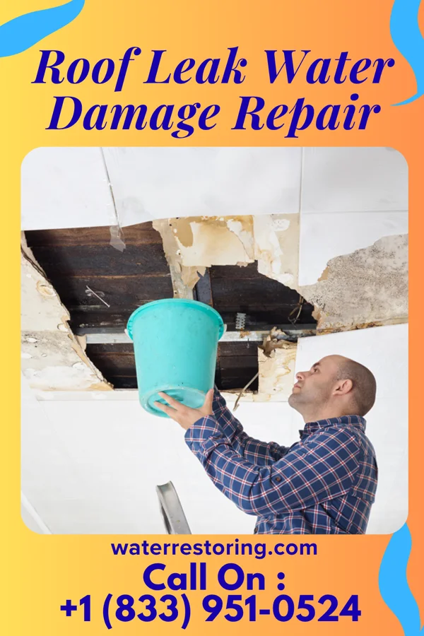 Roof Leak Water Damage Repair in Spragueville, IA